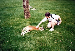 2000 - Australie 123G